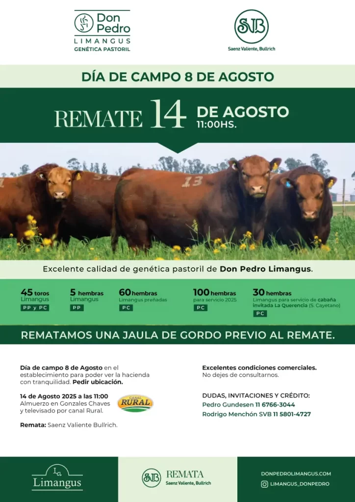 Remate Don Pedro Limangus 14 de Agosto de 2025