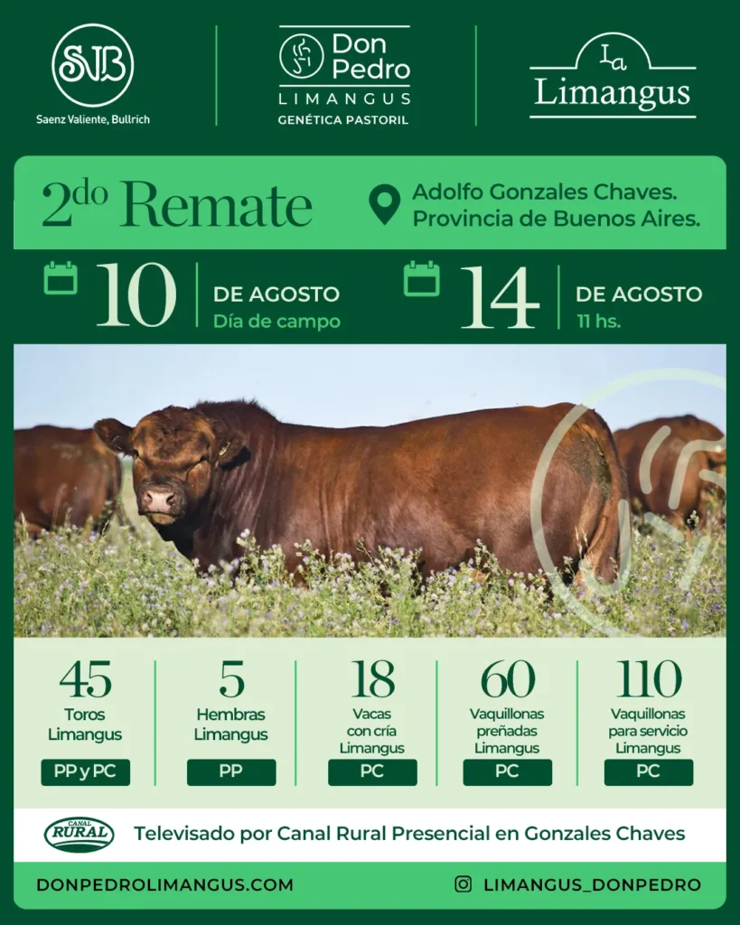 Segundo remate Don Pedro Limangus 14 de agosto de 2026