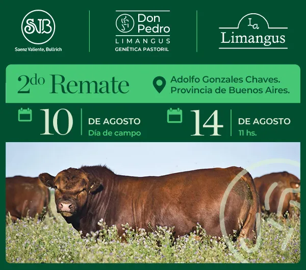 Don Pedro Limangus Remate 2026